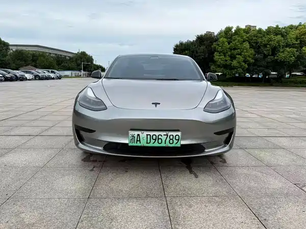 Tesla Model 3 2021