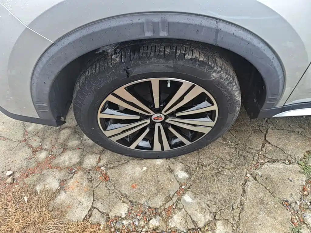 Roewe RX5 New Energy 2020 — фото 23