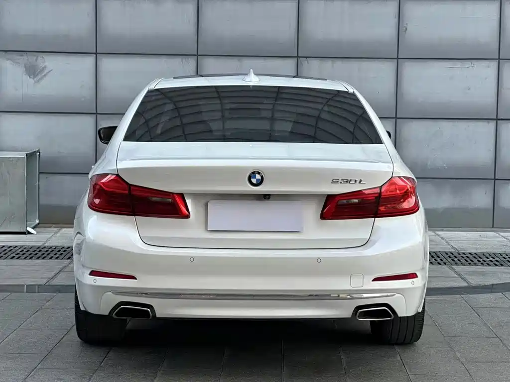 BMW 5 Series 2018 — фото 3