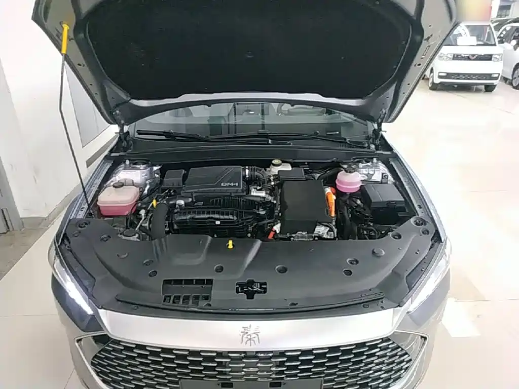 BYD Qin PLUS 2023 — фото 20