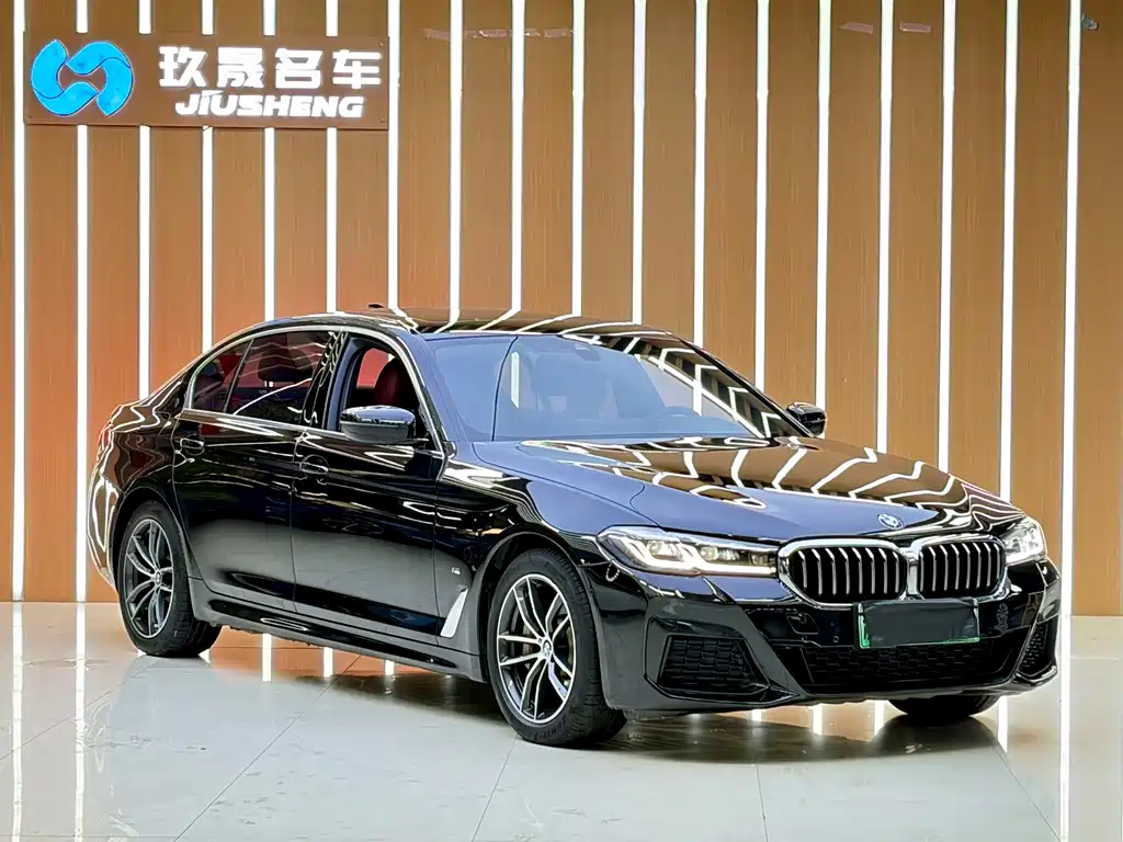 BMW 5 Series New Energy 2021