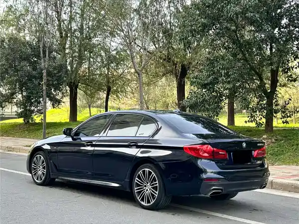 BMW 5 Series 2019