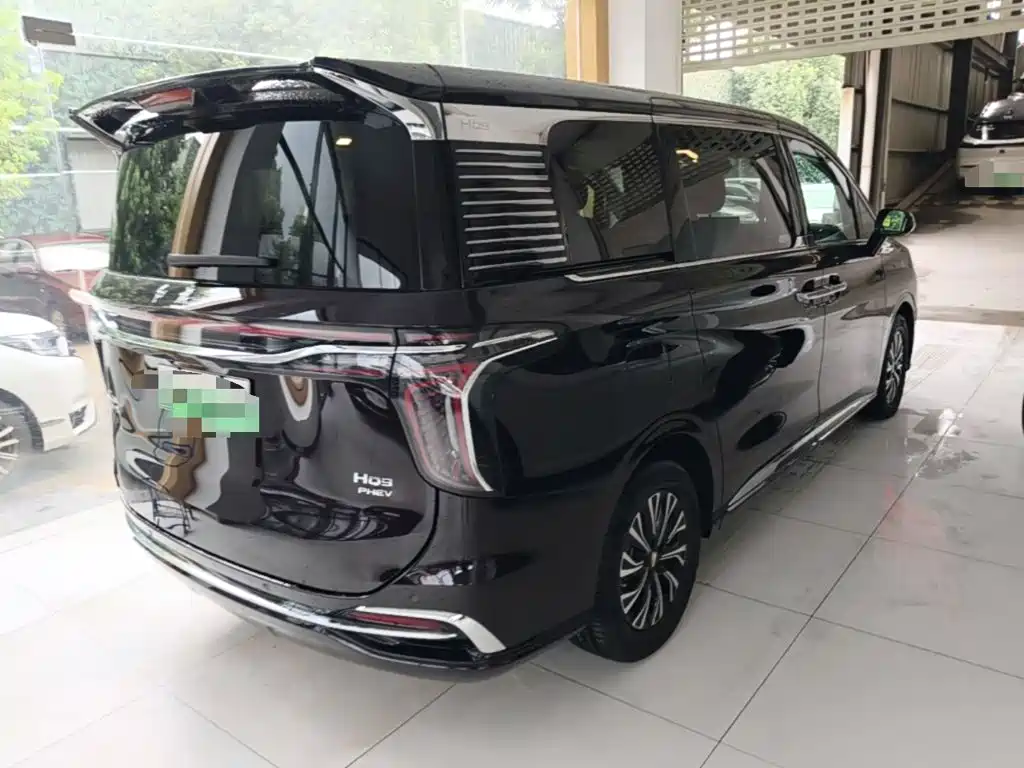 Hongqi HQ9 PHEV 2024 — фото 7