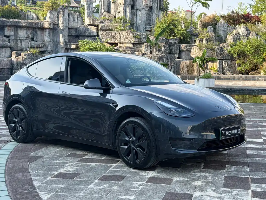 Tesla Model Y 2024 — фото 2