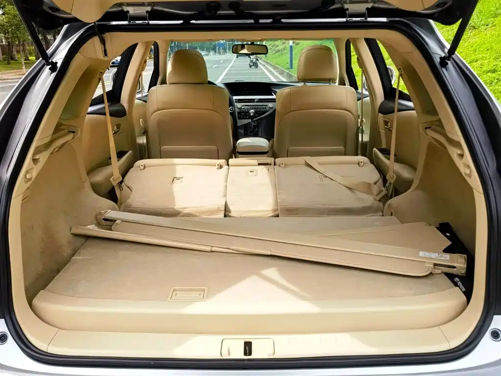 Lexus RX Classic 2012 — фото 11