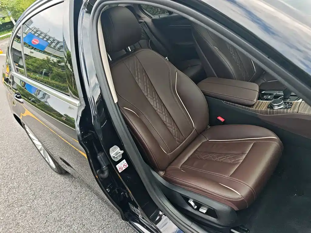 BMW 5 Series New Energy 2019