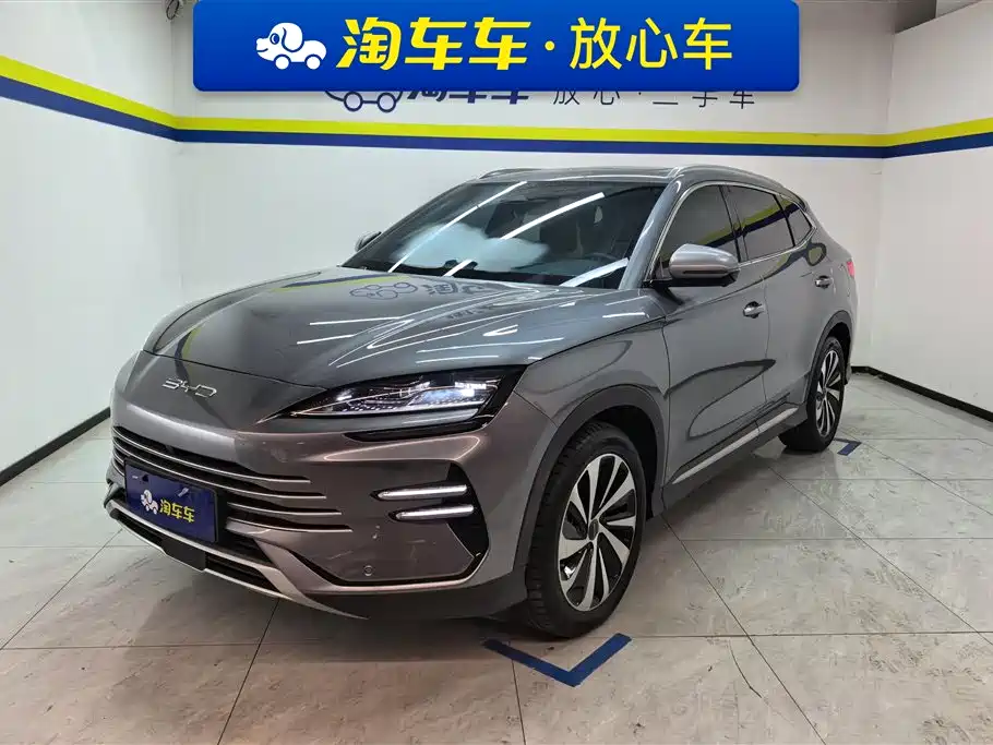 BYD PLUS New Energy 2024 — фото 1