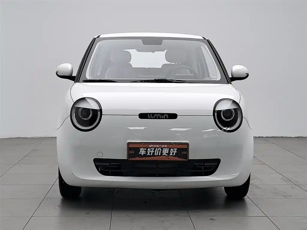 Qiyuan Lumin 2023