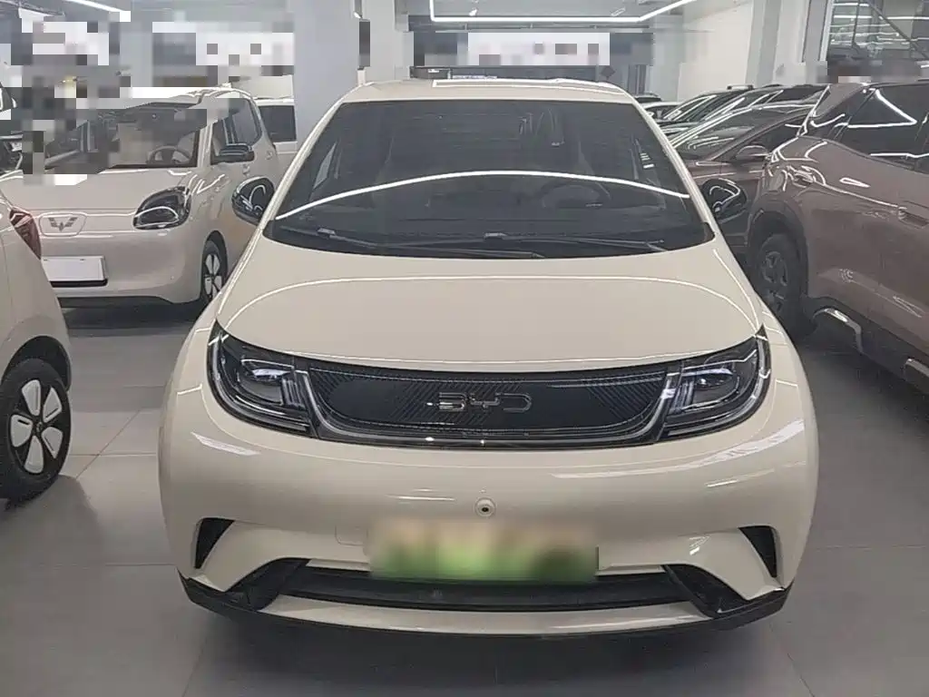 BYD Dolphin 2026