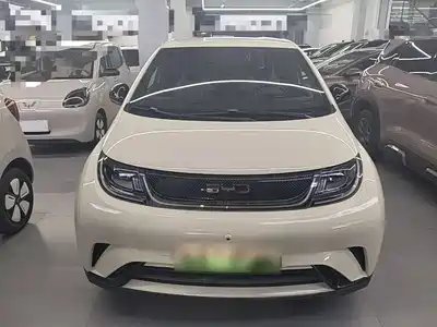 BYD Dolphin 2026