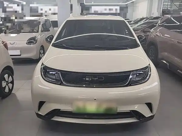 BYD Dolphin 2026
