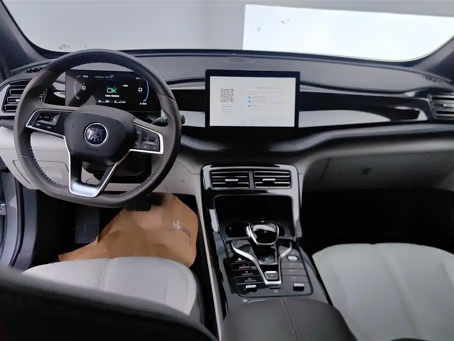 BYD Qin PLUS 2024 — фото 12