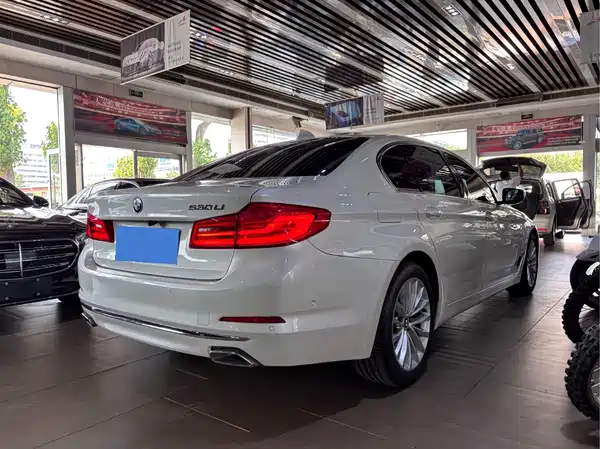 BMW 5 Series 2019
