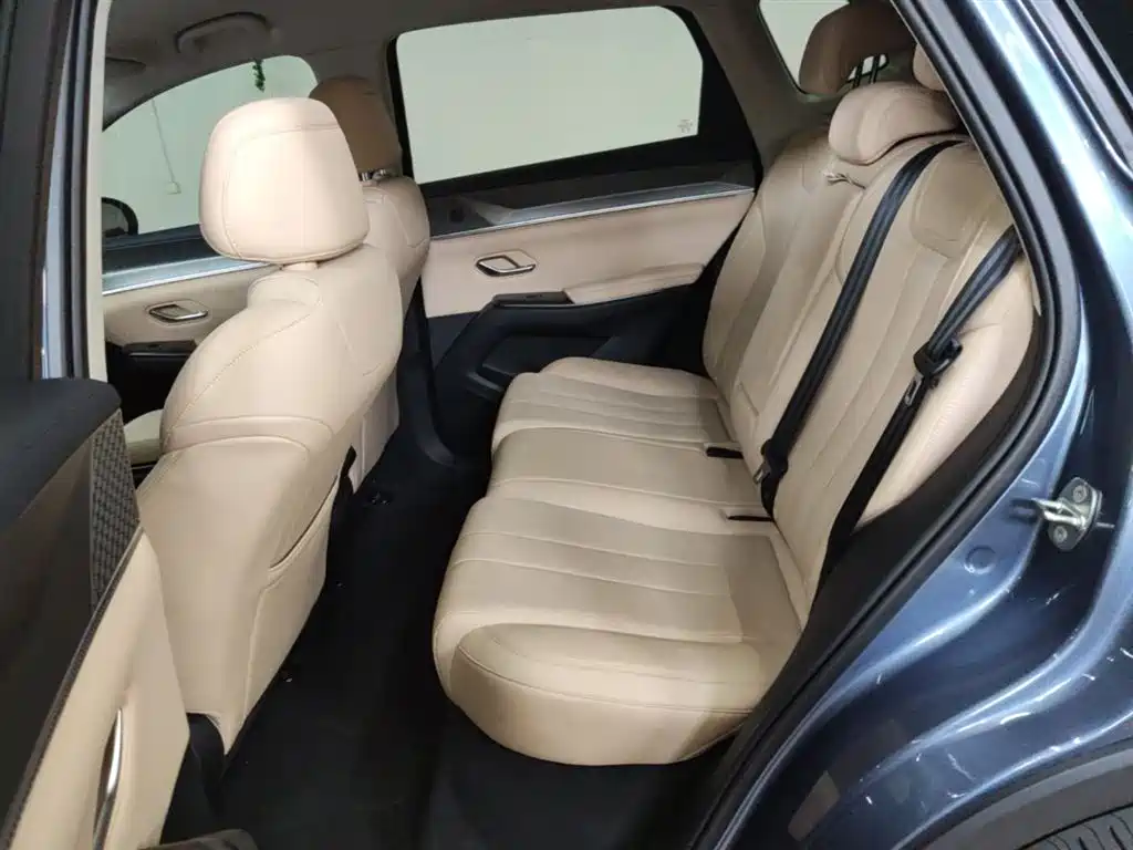 BYD Pro New Energy 2025 — фото 17