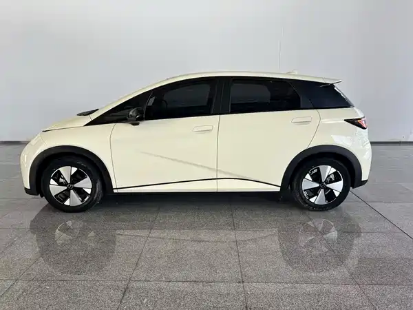 BYD Dolphin 2024