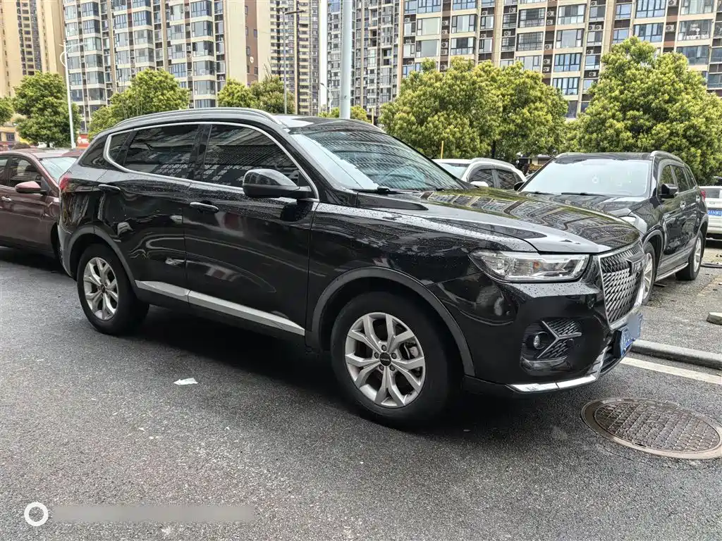 Haval H6 2021 — фото 13