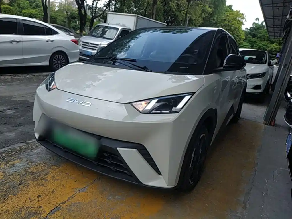 BYD Seagull 2024