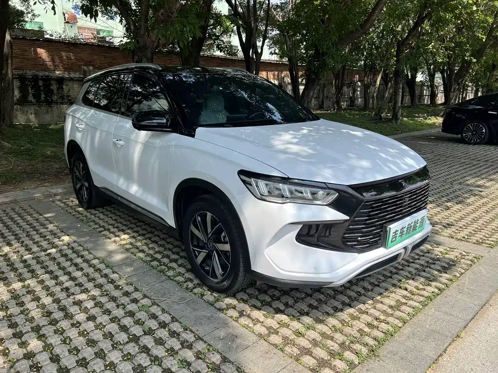 BYD Pro New Energy 2024 — фото 9