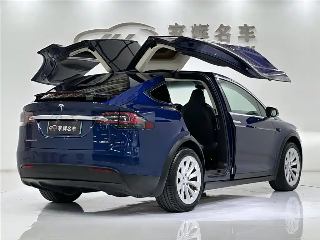 Tesla Model X 2018 — фото 10