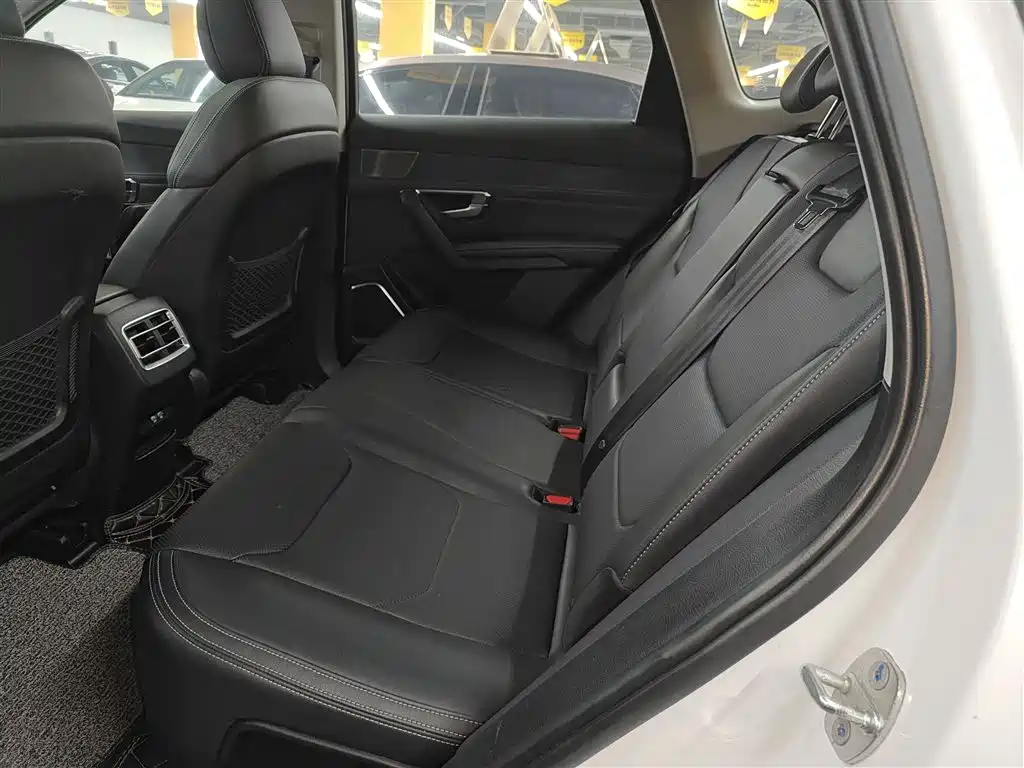 BYD Pro New Energy 2020 — фото 13