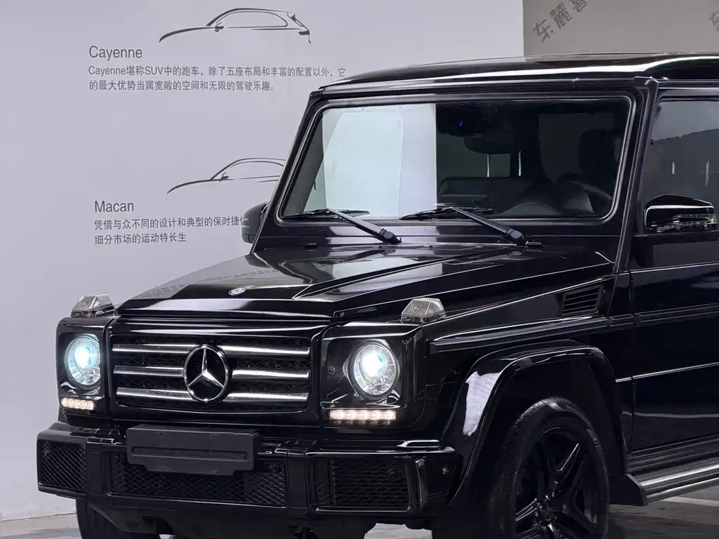Mercedes-Benz G-Class 2017 — фото 7