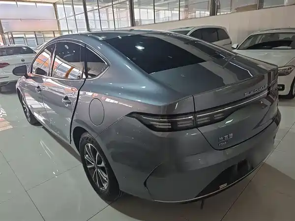 BYD Destroyer 05 2024