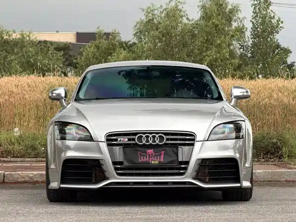 Audi TTS 2013