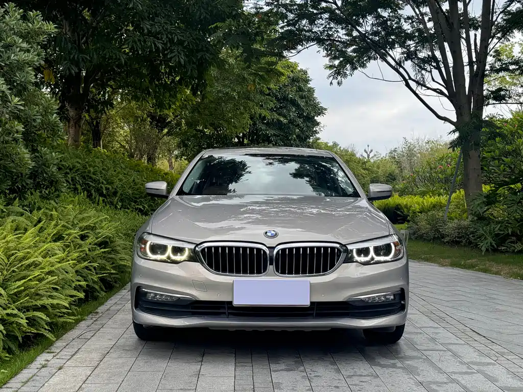 BMW 5 Series 2017 — фото 2