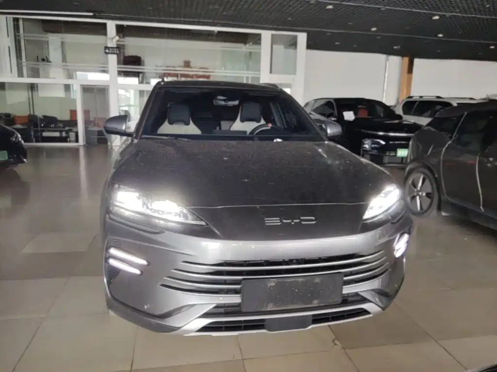 BYD PLUS New Energy 2024 — фото 3