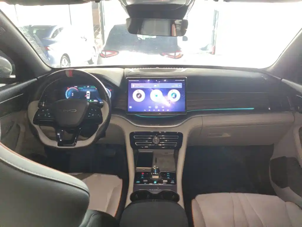 BYD PLUS New Energy 2024 — фото 10