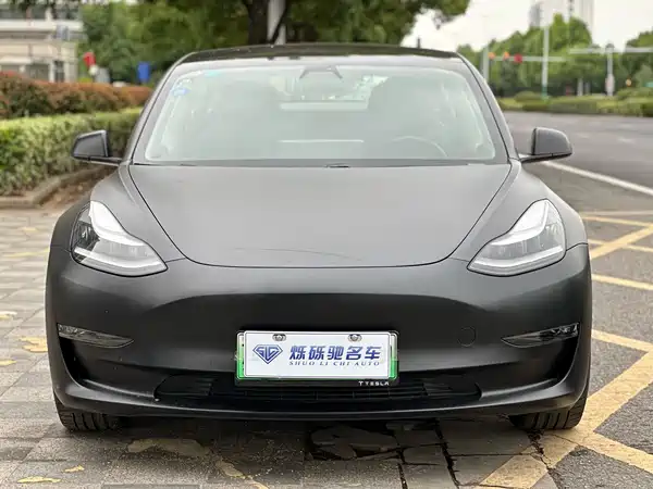 Tesla Model 3 2019