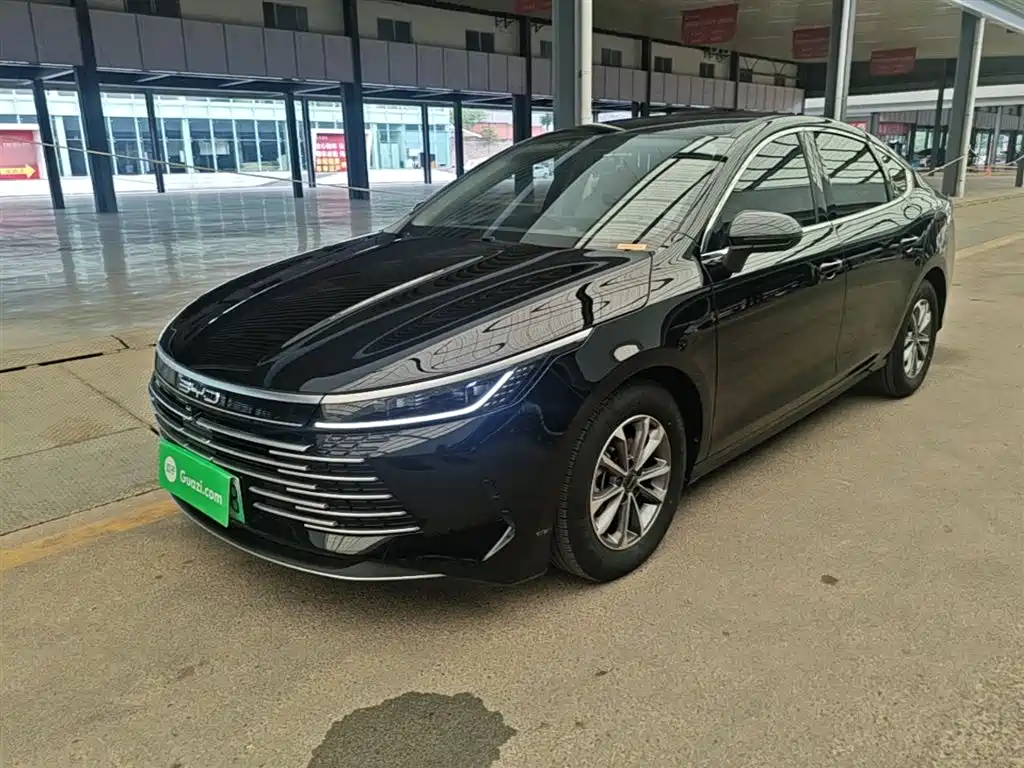 BYD Destroyer 05 2024 — фото 2