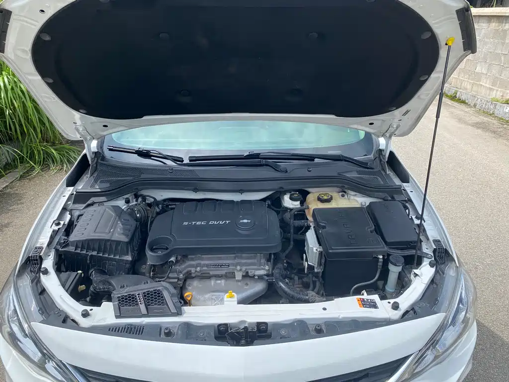 Chevrolet Cavalier 2019 — фото 13