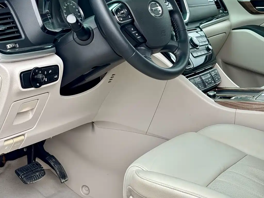 GAC Trumpchi M8 2018 — фото 12