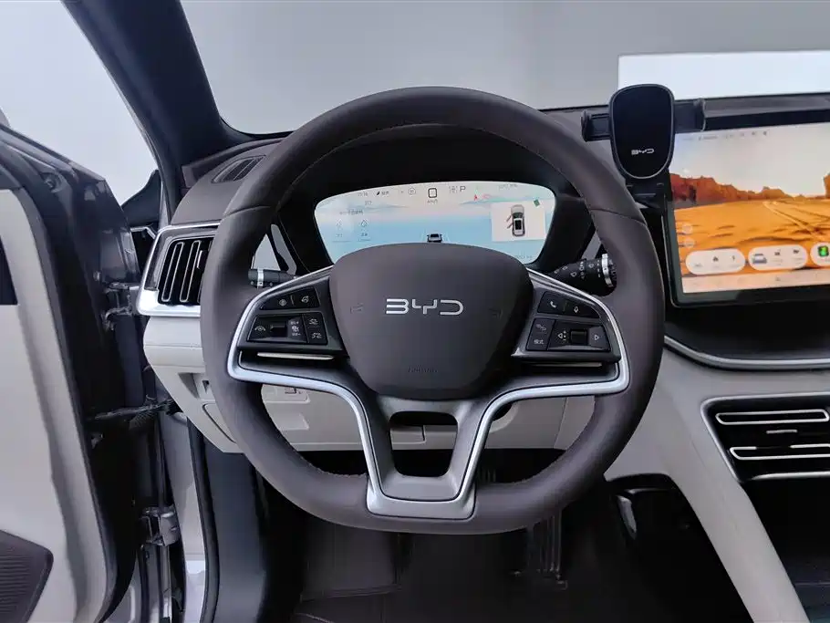 BYD Song PLUS New Energy 2025 — фото 15