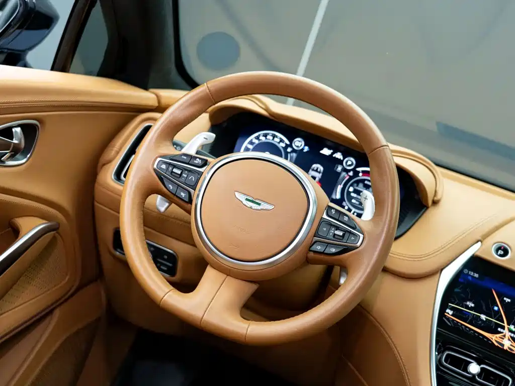Aston Martin DBX 2024 — фото 13