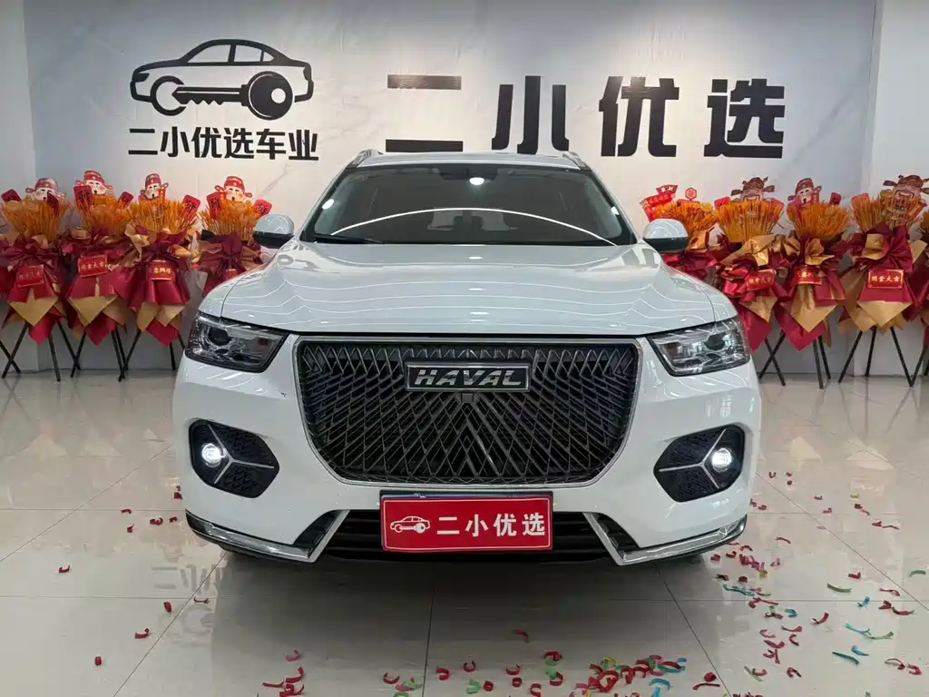 Haval H6 2021 — фото 2