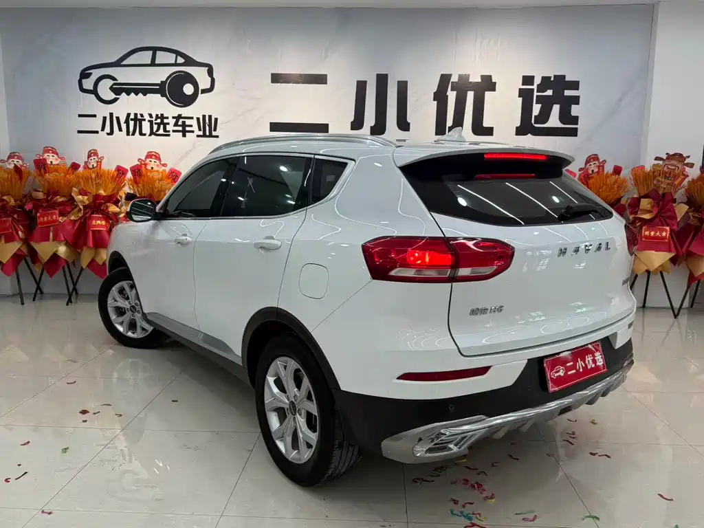 Haval H6 2021 — фото 14