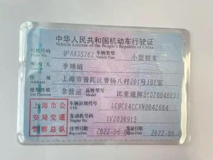 BYD Dolphin 2022