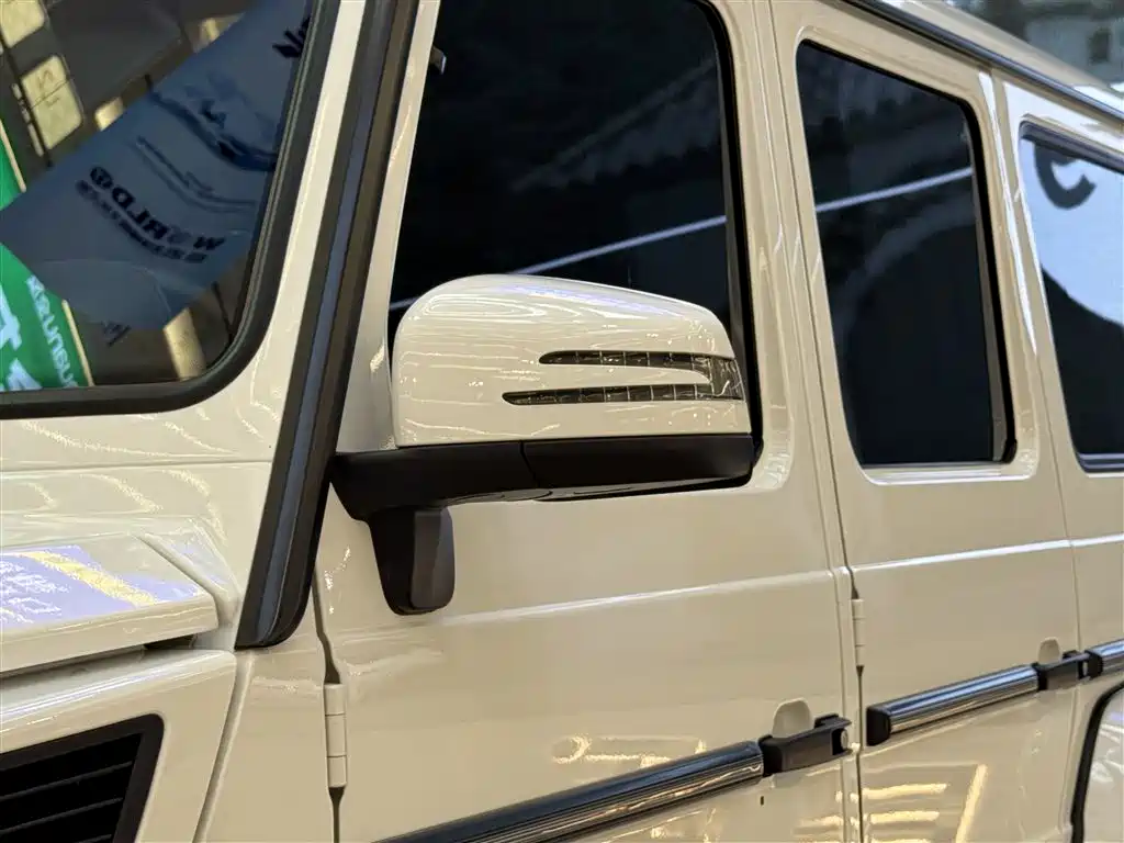 Mercedes-Benz G-Class 2018 — фото 24