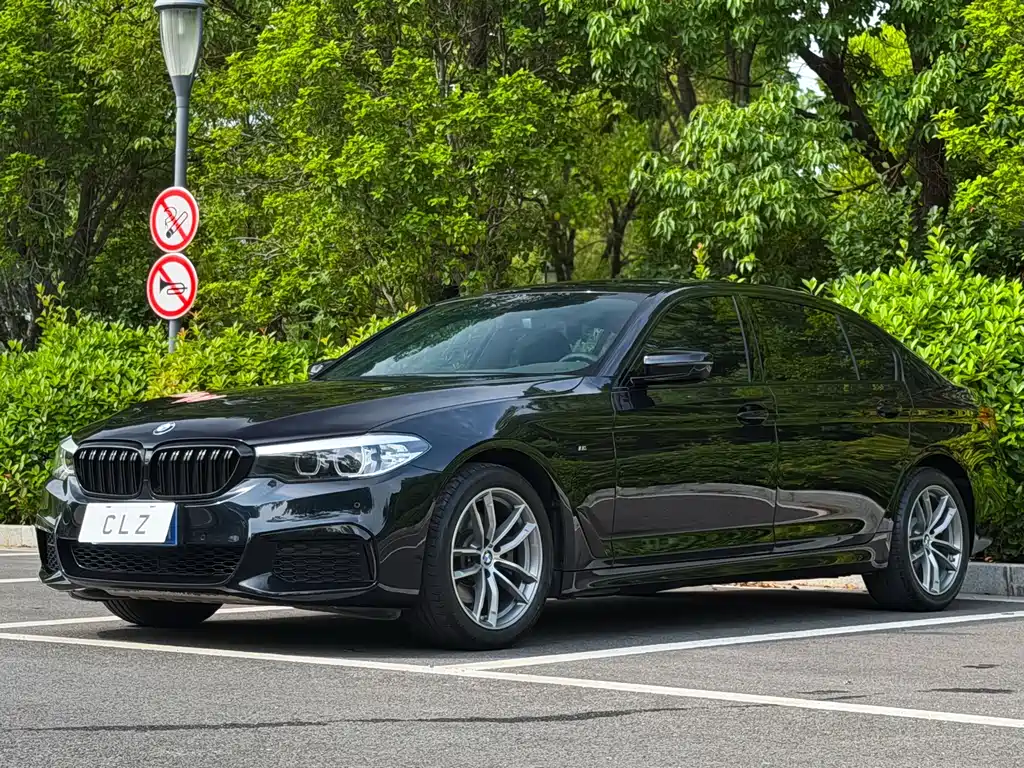 BMW 5 Series 2020