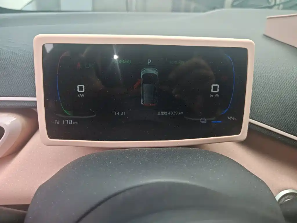 BYD Seagull 2024