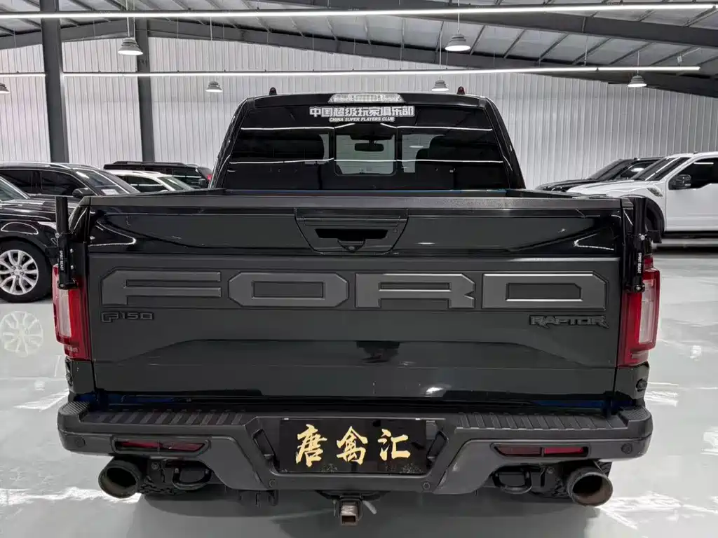 Ford F-150 Raptor 2020 — фото 8