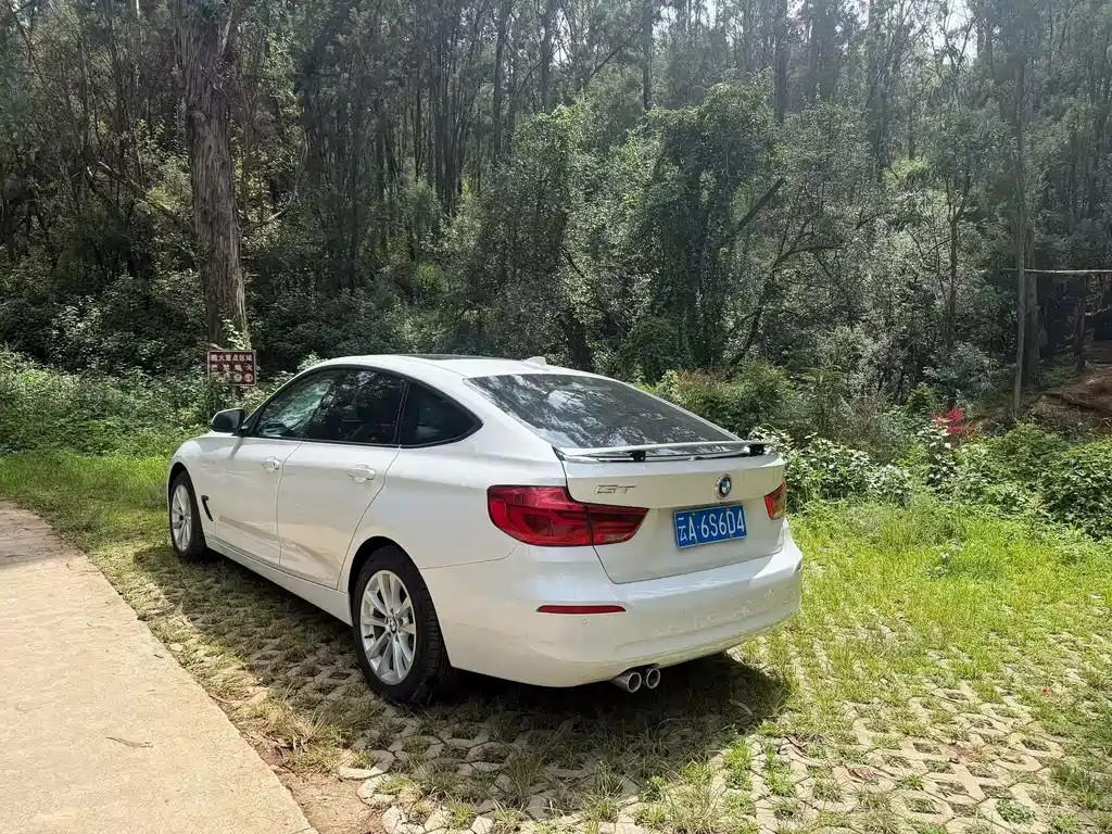 BMW 3 Series GT 2017 — фото 9