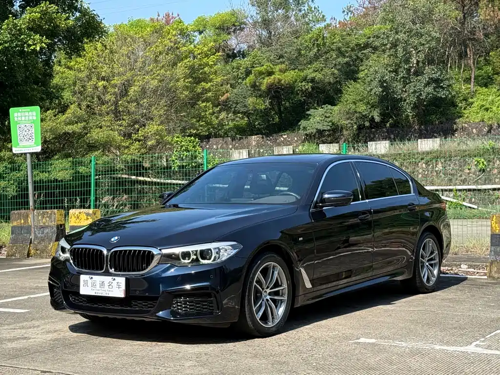 BMW 5 Series 2020