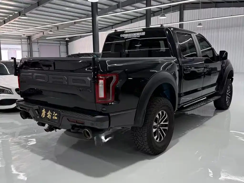 Ford F-150 Raptor 2020 — фото 7