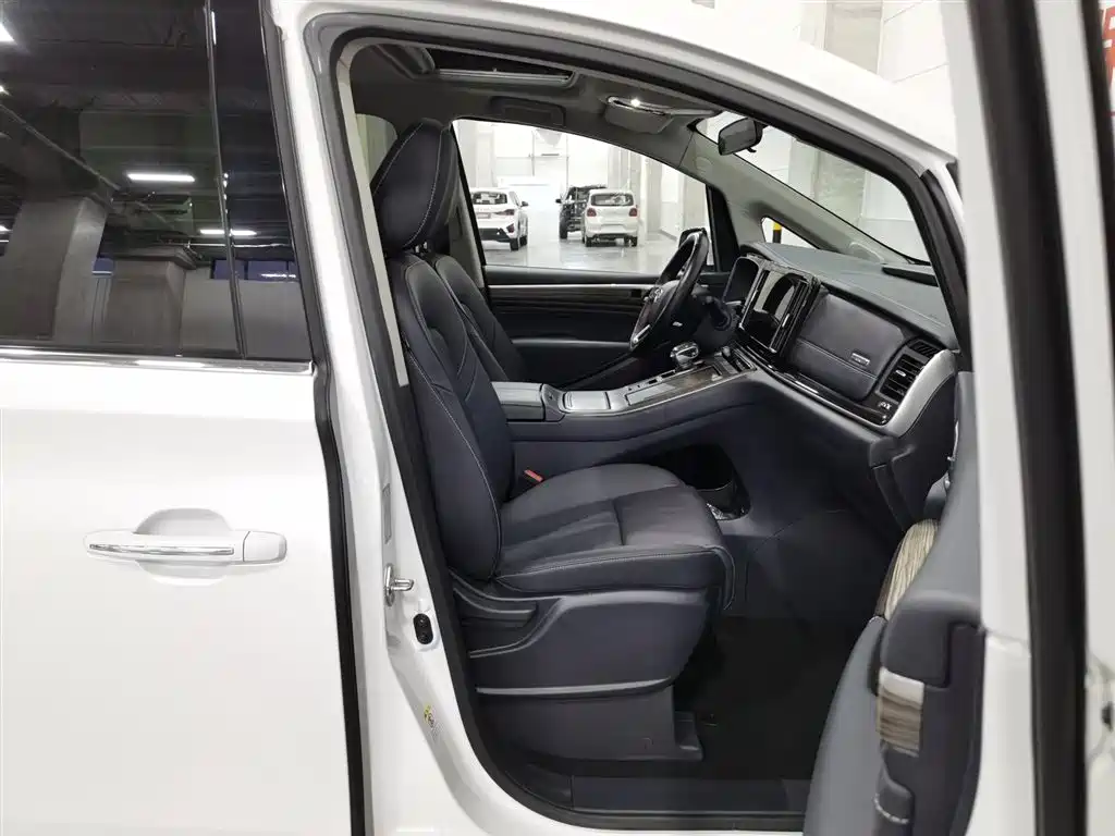 GAC Motor Trumpchi M8 2023 — фото 23