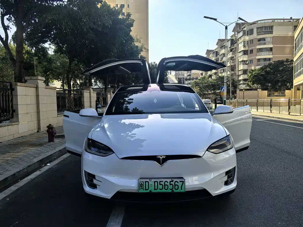 Tesla Model X 2018 — фото 7