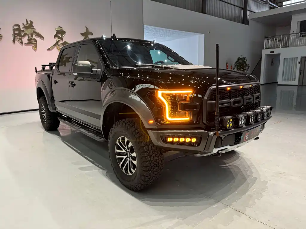 Ford F-150 Raptor 2019 — фото 8