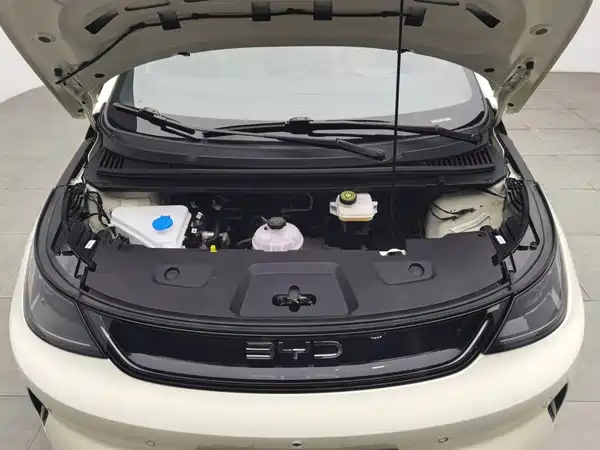 BYD Dolphin 2025